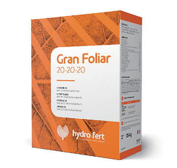 �����m���~��20-20-20-�������