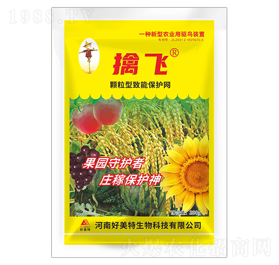 200g�w�������ܱ��o�W(w��ng)-���w-������