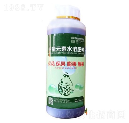 ���������n�������-���_����