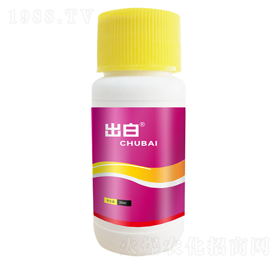 ����-������