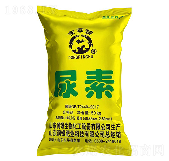 ����-�|ƽ��-��(r��n)�y����