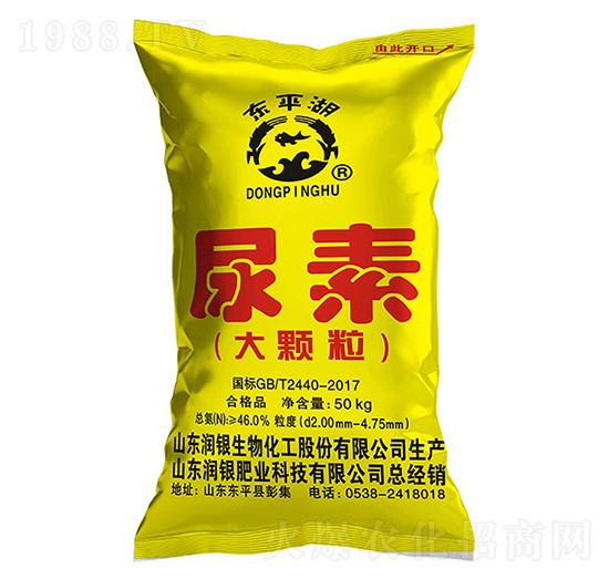 ���w������-�|ƽ��-��(r��n)�y����