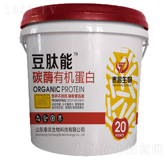 ̼ø�ЙC����-������-��̩����