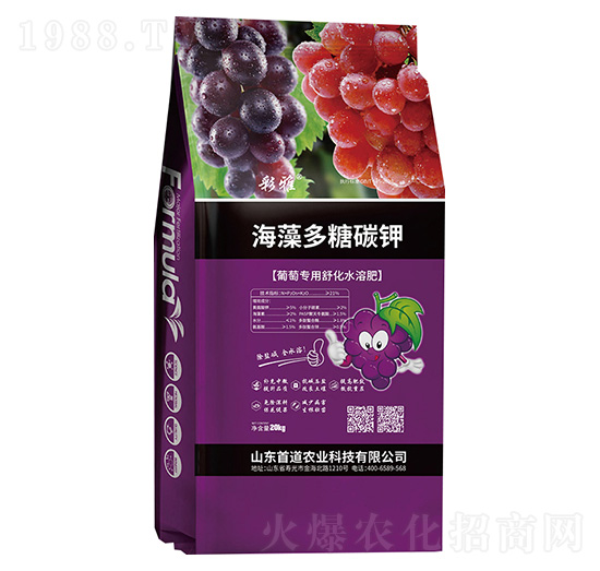 �������̼�-����-�׵��r(n��ng)�I(y��)