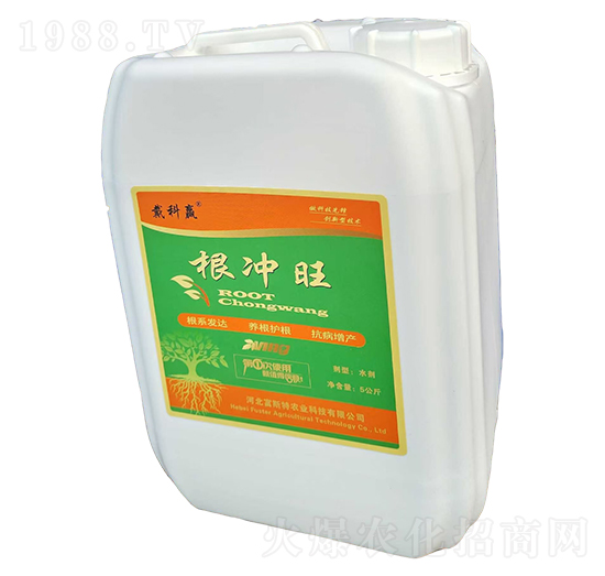 ���_��-��˹��