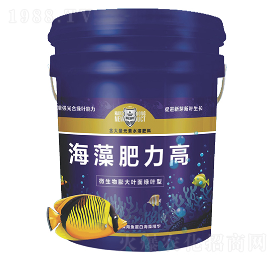 ���������-������r(n��ng)