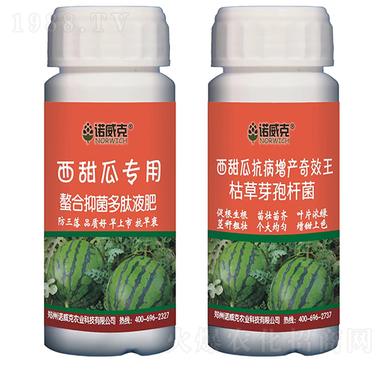 ����ό��������־�����Һ��+�������a��Ч��-�Z����