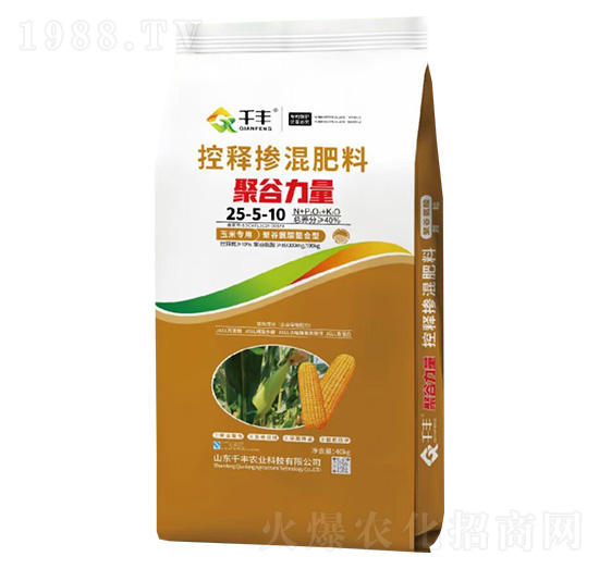 ���׌�(zhu��n)�ÿ�ጓ������25-5-10-�۹�����-ǧ�S�r(n��ng)�I(y��)