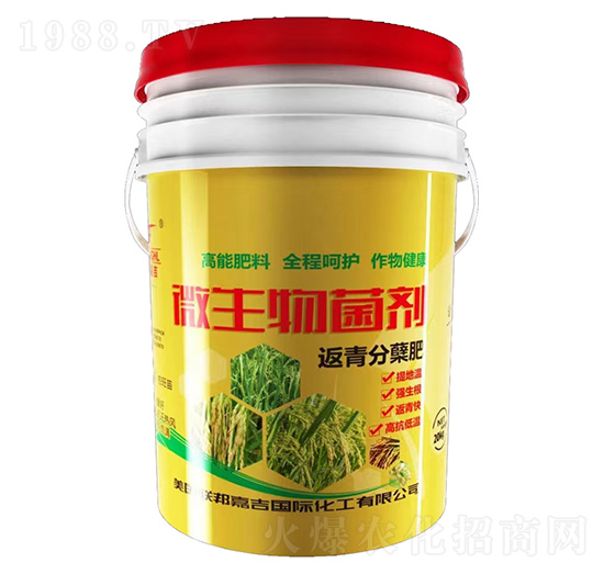 ΢�������-������Y��-(li��n)��μ�