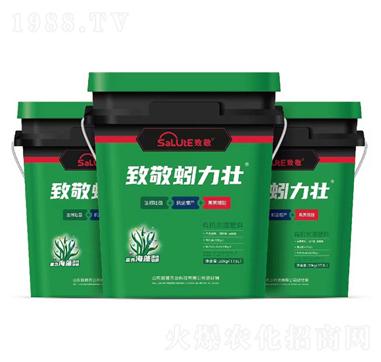 �����-�¾�