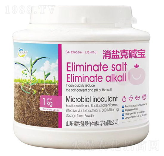 ���}�ˉA��-ʢ��¡��