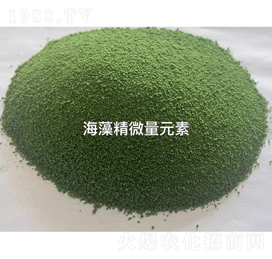 ���徫΢��Ԫ��-���u��������