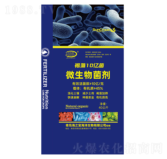 ΢�������-����10�|��-���-��֮��