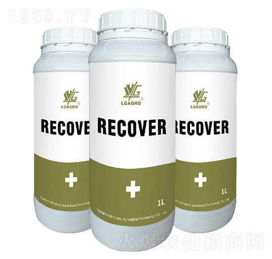 �����-�����_