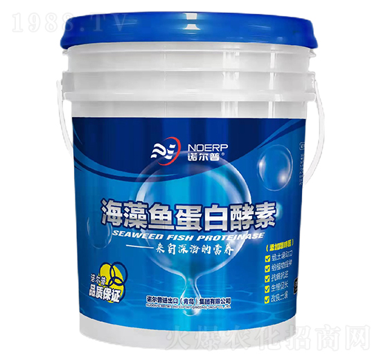 �~���׽���-�Z����