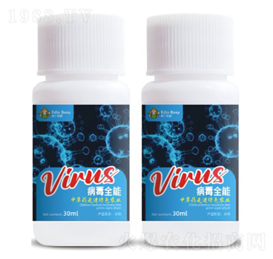 ����ȫ��-�۶�����