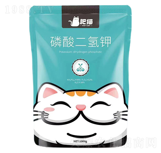 ��������-��؈