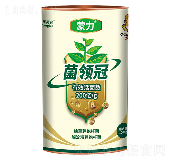 �������I(l��ng)��-�͝��r(n��ng)�I(y��)