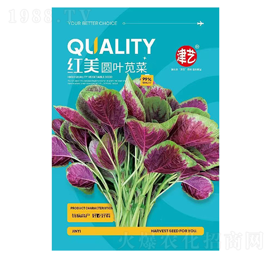 �{�˷N��-�t���A�~�{��-���S�r�I(y��)