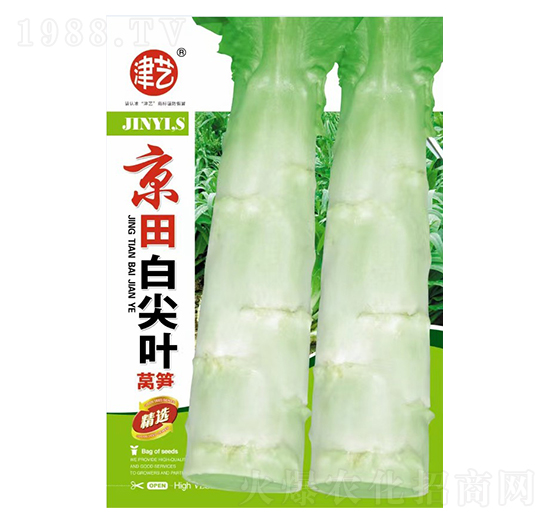 �n�S�N��-����׼��~-���S�r�I(y��)