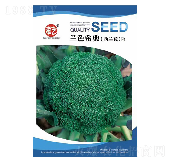 ���˷N��-�mɫ���-���S�r�I(y��)