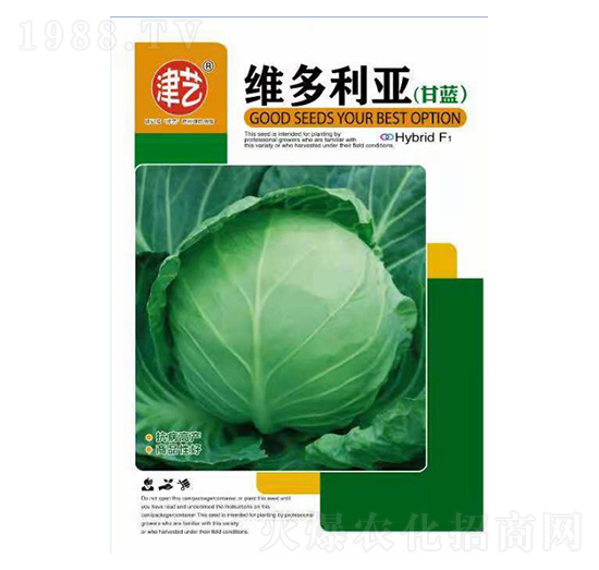 ���{�N��-�S������-���S�r�I(y��)