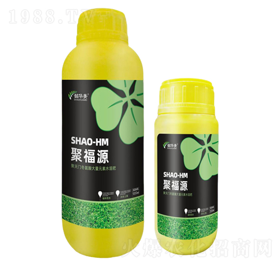 �۸�Դ-���A��