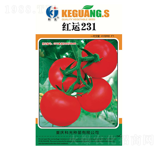 �t�\231-�ƹ�N��