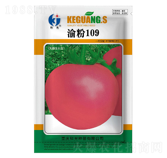 ���109-�ƹ�N��