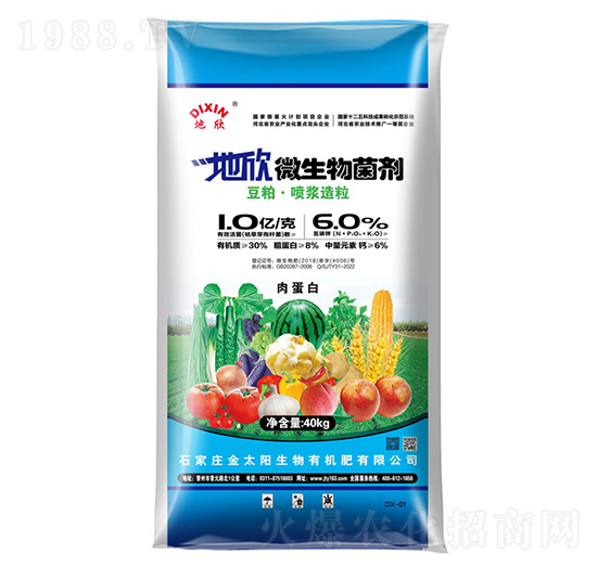 ΢������������ɇ��{������-����-��̫�