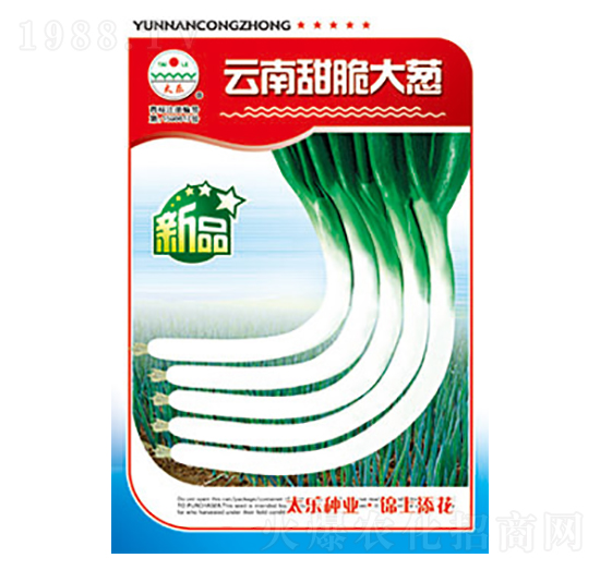 ���[�N��-���������[-̫��(l��)�N�I(y��)