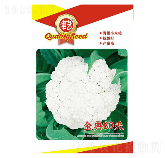 ���˷N��-���80��-���S�r�I(y��)