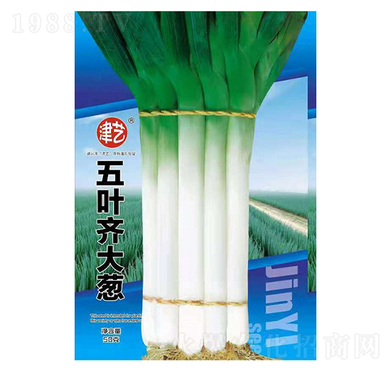 ���[�N��-���~�R���[-���S�r(n��ng)�I(y��)