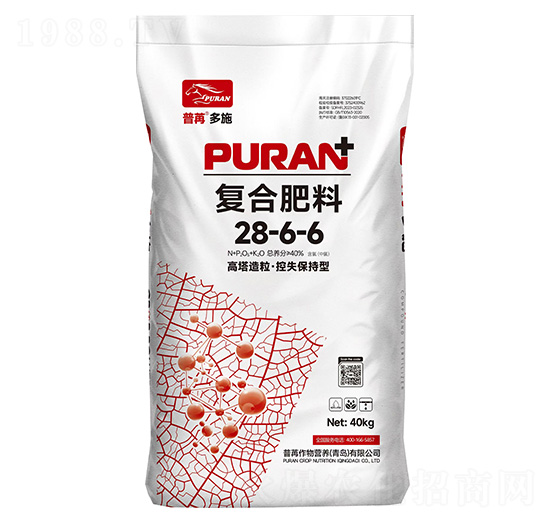 ������������ʧ�����͏ͺϷ���28-6-6-���۶�ʩ