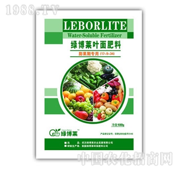 �G���R-����ڌ��ã�1