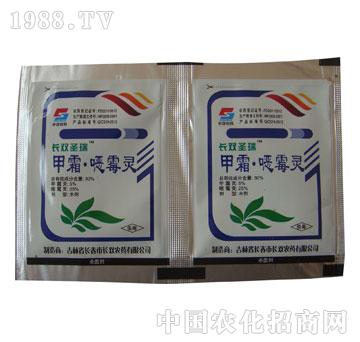 �L(zh��ng)�p-�L(zh��ng)�pʥ��-��˪��