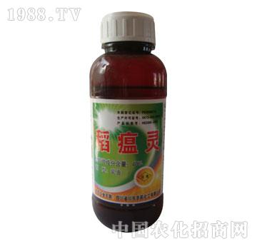 �L(zh��ng)�p-�����`