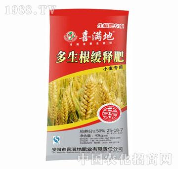 ϲ�M��-С�����ö�����