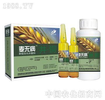 4.5%���~-���o��-