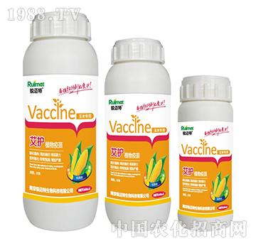 ���o(h��)ֲ���������׌�(zhu��n)��-�J�~��