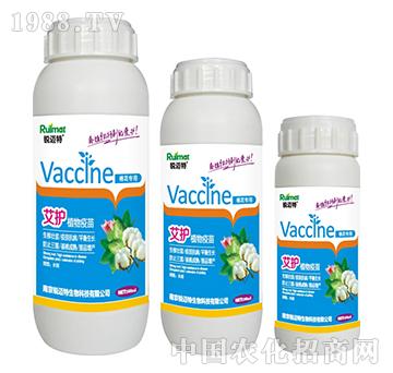 ���oֲ�������޻�����-�J�~��