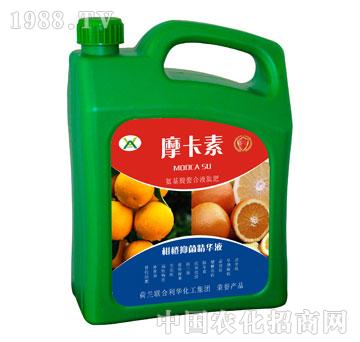 �̳��־����AҺ-Ħ����