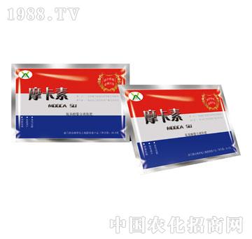 ����������Һ�ķʣ����b