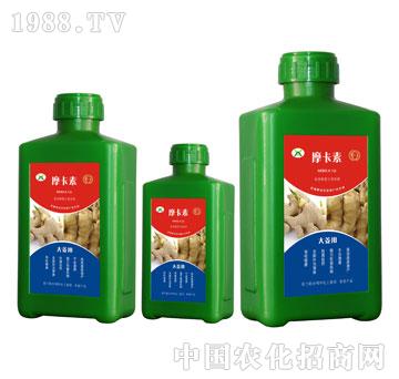 �󽪌��ð���������Һ��