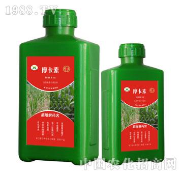 ������ˎ������������Һ