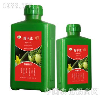 ������������������Һ��