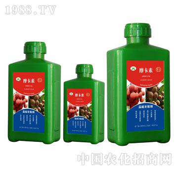 ��֦���ی��ð���������