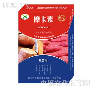 �t�팣�ð���������Һ��