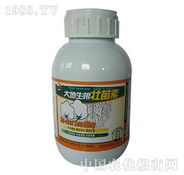 �������������-�W��˹