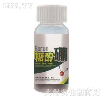 �Ǵ���-������Ҽ